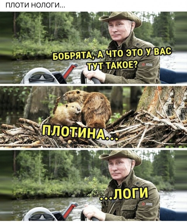 Любимые чиновники Владимира.