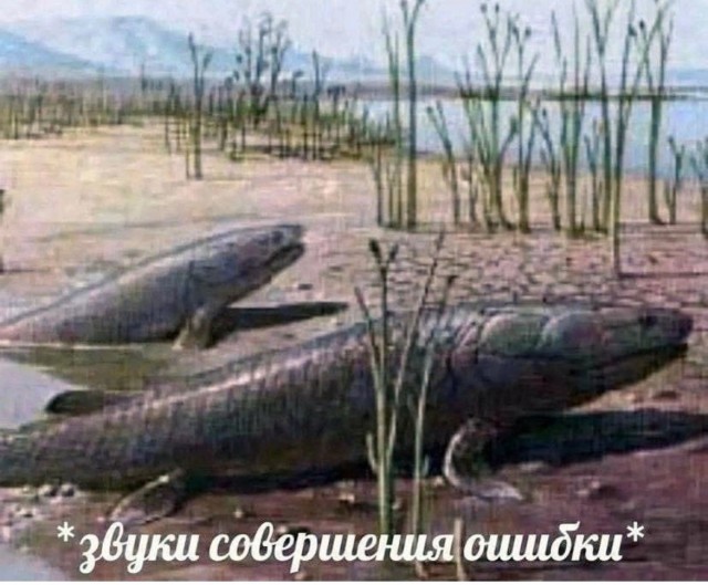Так себе картинки 14.09.23