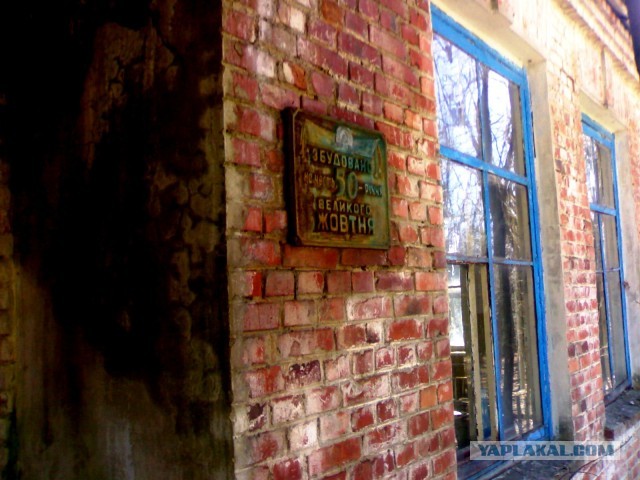 Просто смотреть