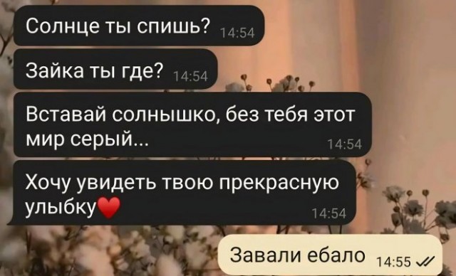Весёлый полтишок 12.11.23