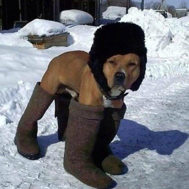Как вам погода
