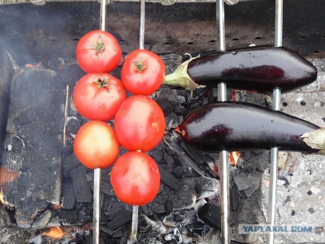 Дача, грибы, мясо, овощи.