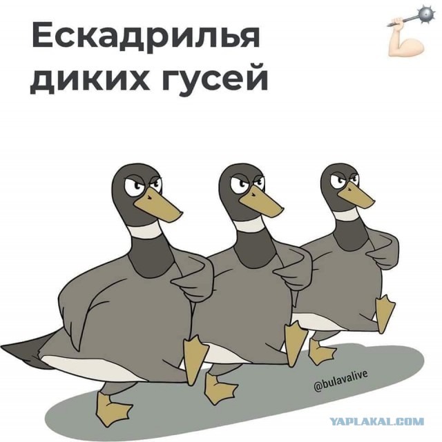 Над территорией Крыма сбит самолет
