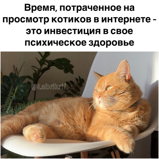 ТРРРидцать тРРРи от 23 апРРРеля