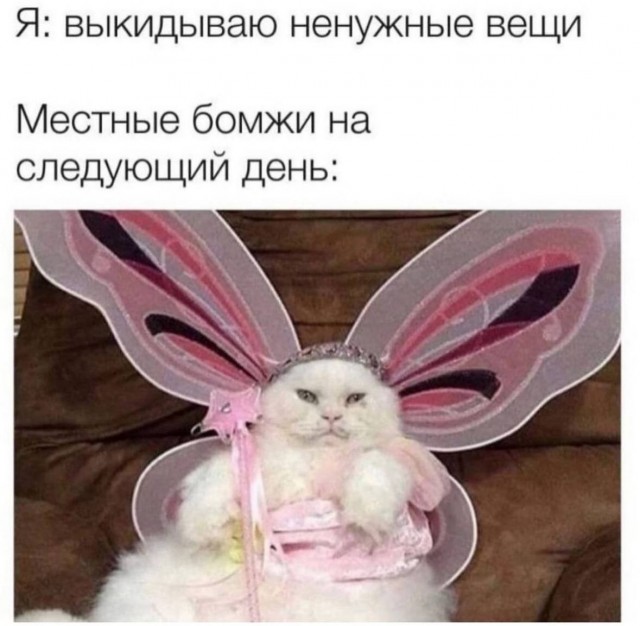 Юмор в картинках и без