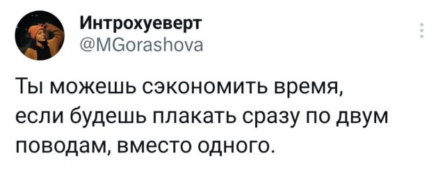 Немного забавных картинок от 13.10.2024