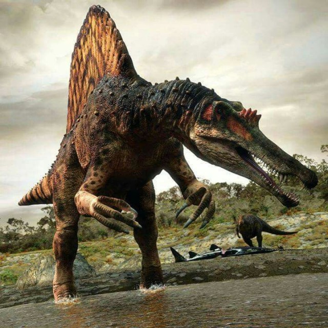 Прикольные и просто красивые картинки 15.10.2024