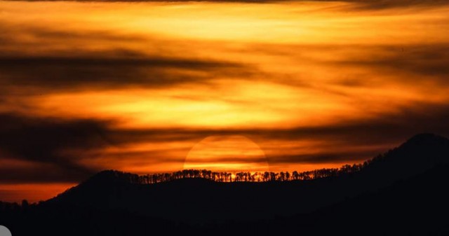 Посольство РФ проверяет нахождение россиян на борту сбитого в Судане самолета