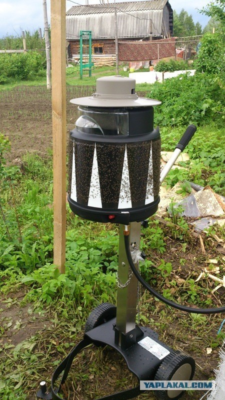 Комариный геноцид