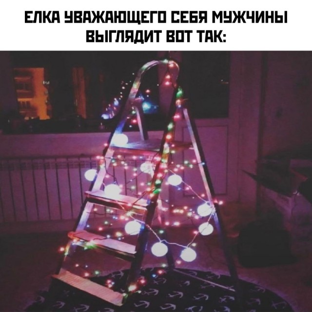 Весёлый полтишок 29.12.24