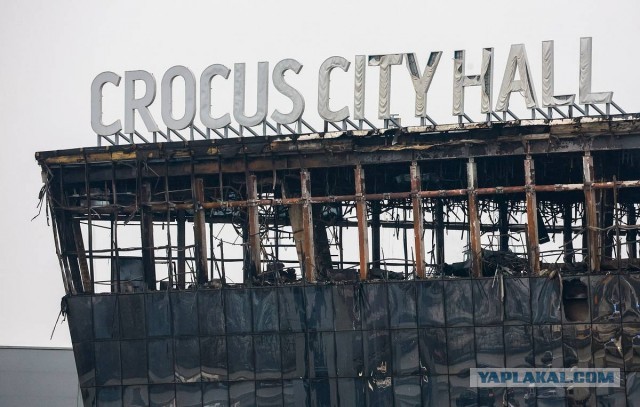 «Для вас есть задание». В Турции судят кураторов теракта в «Крокусе».