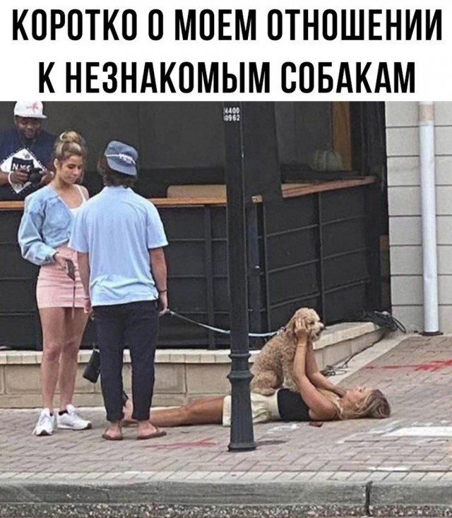 Веселые картинки в пятницу (30.05)