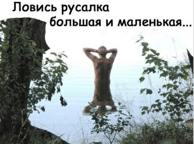Так себе картинки 13.06.25