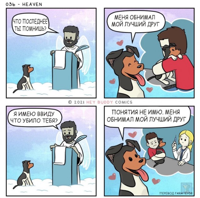 О братьях наших меньших