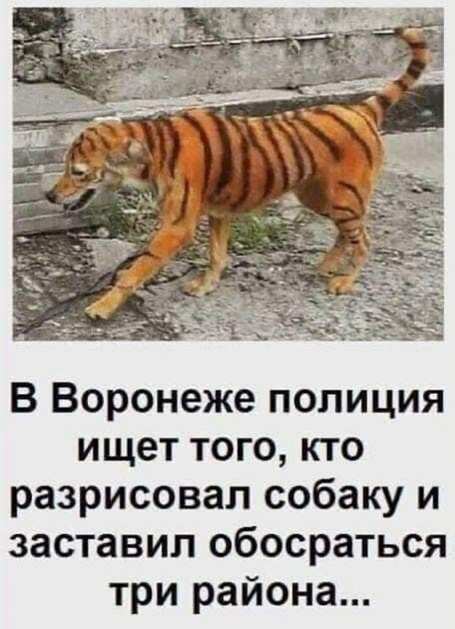 Прикольные и просто красивые картинки 24.10.2025