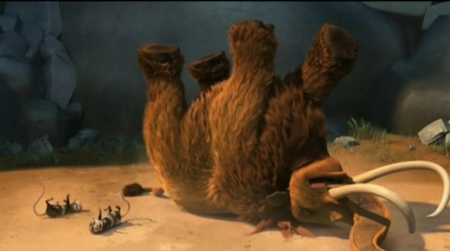 Опоссум словил инсульт *опы и инсценировал смерть