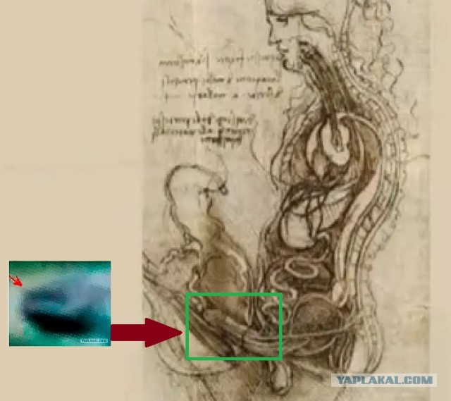 И опять про 3I/ATLAS