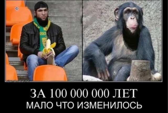 В Красногорске водитель такси сам себе разрешил въезд