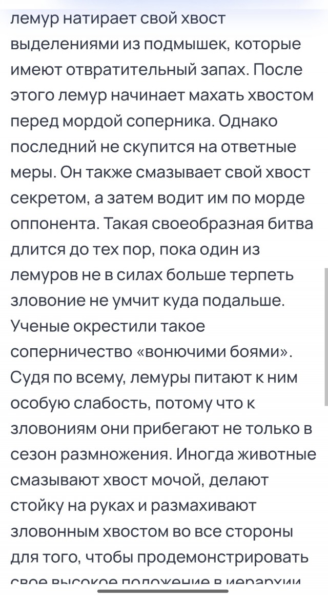 Толпа лемуров разбирает посетителей на атомы