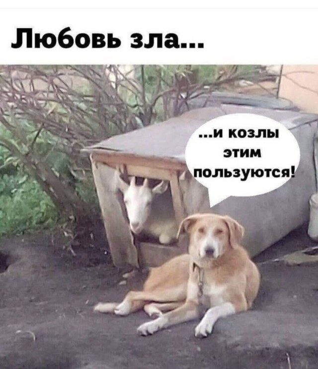 Так себе картинки 29.12.25