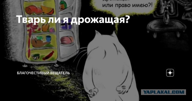 Чем закончилась моя история измены жены