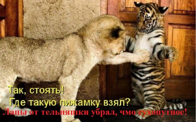 Так себе картинки 19.03.26