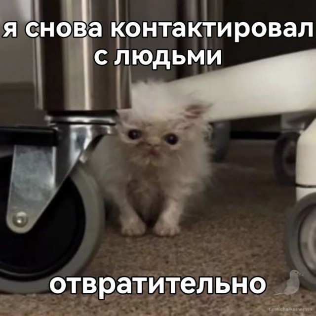 Дегрономикон "Вот-вот умру"
