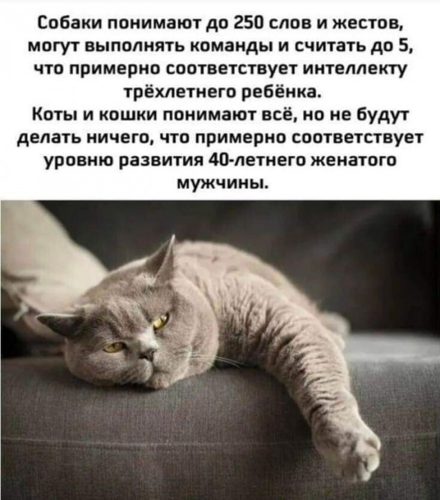 Веселые картинки в понедельник (21.09)