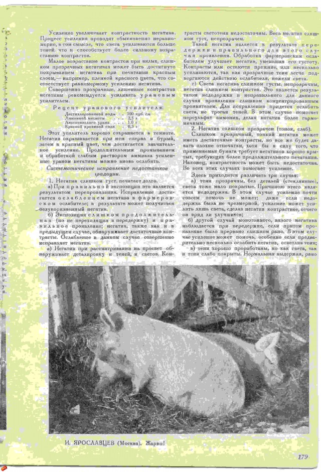 Ветхое живое время...