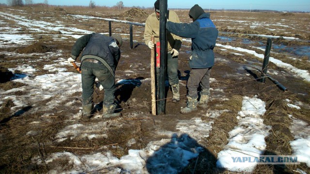 Сказ о том, как мне сваи винтили