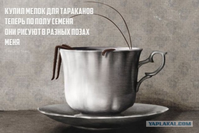Мысли: кратко - но ёмко