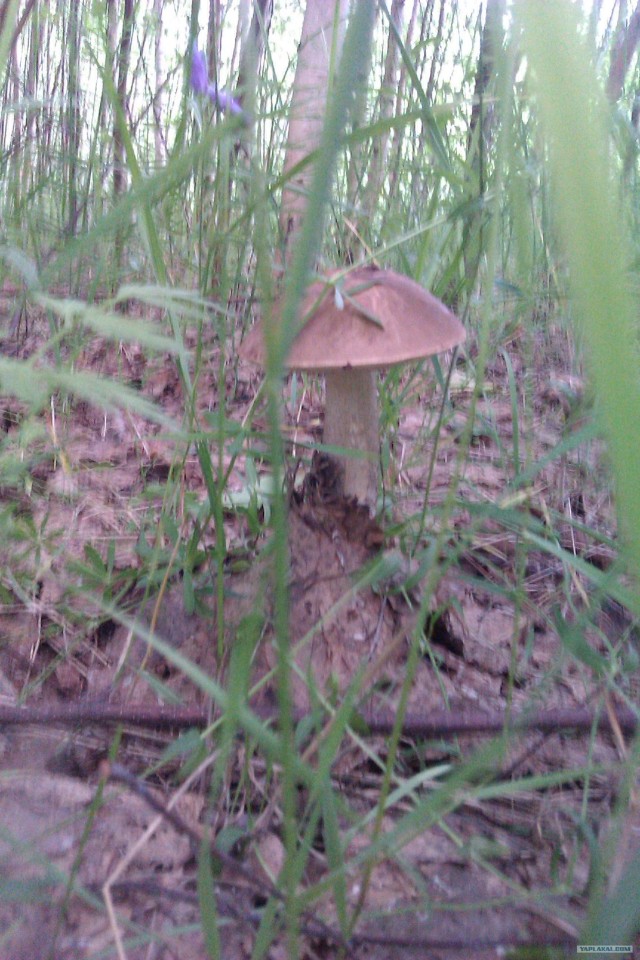 Просто выходные...