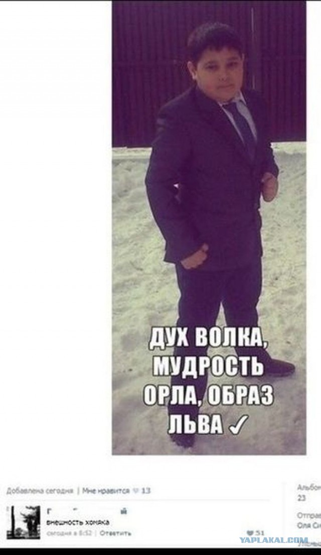 Пятница, картинки для поднятия настроения