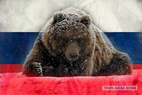 Помимо армии и флота