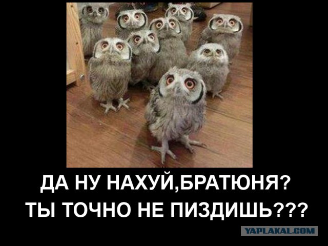 Не стоит критиковать маникюршу во время работы