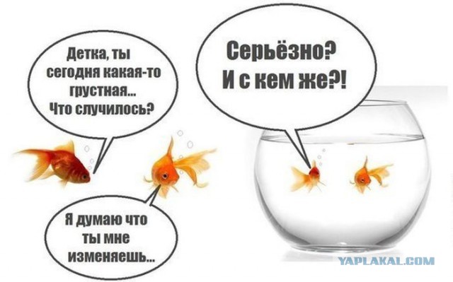 Веселые картинки на пятницу