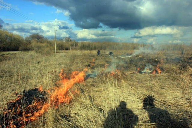 Один день из жизни импортозаместителей