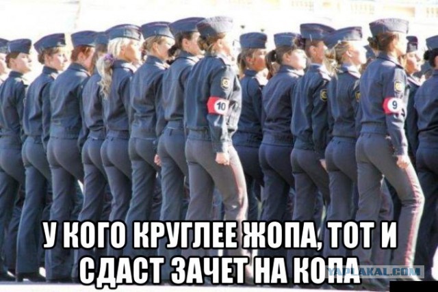 Картинки  из сети