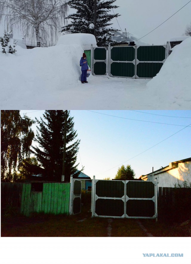 А у нас снежок выпал!