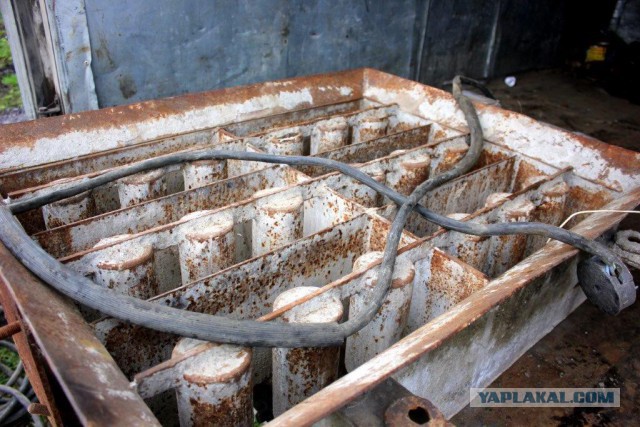 Сельскохозяйственный эксперимент ч. 7