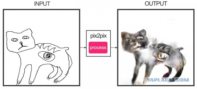 Коты, которых вы бы не хотели увидеть у себя дома