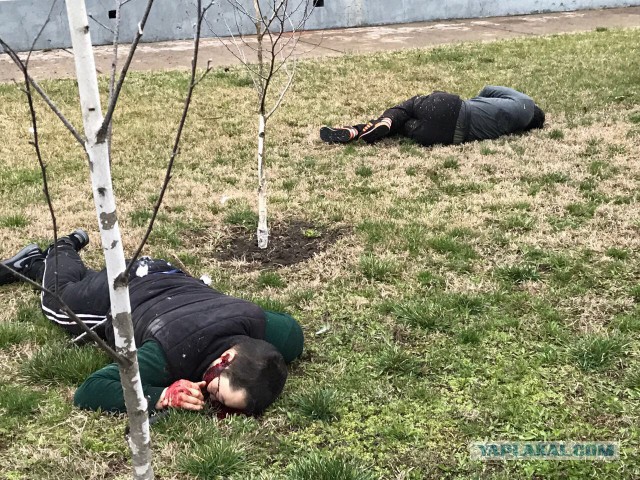 Шесть боевиков ликвидированы при нападении на полк Росгвардии в Чечне