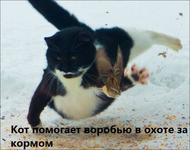 Подборка интересных и веселых картинок