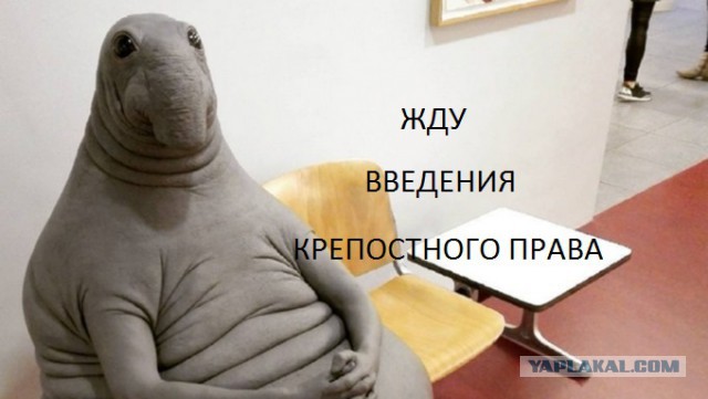 Парламент Петербурга принял законопроект, позволяющий не учитывать мнение граждан на публичных слушаниях