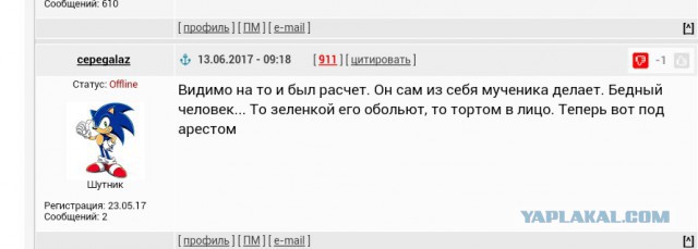 Суд арестовал Алексея Навального на 30 суток
