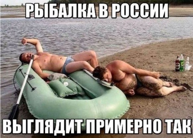 Картинки из сети