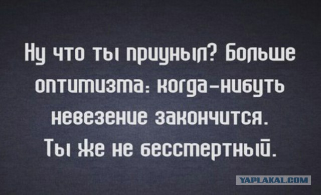 Немного деграданса - 6