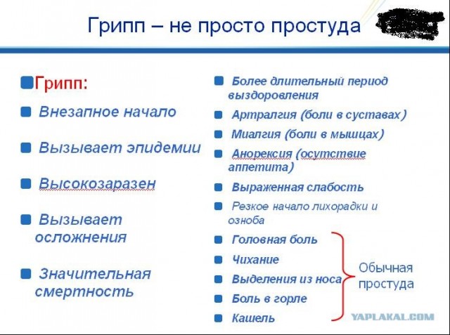 Арбидол и другие мифы о гриппе