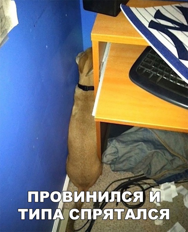 Нестандартный юмор