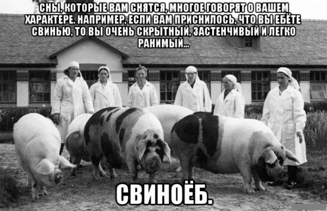 Не совсем светлый и адекватный юмор